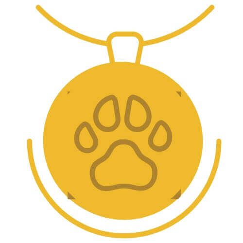 A lasting memory of your beloved companion, with ashes carefully hand returned through our pet cremation services in Sydney.