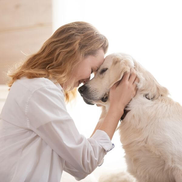 At Everlight Pet Cremations Sydney, we help families honour their beloved pets with private cremation, gentle care, same day collection, and ashes returned with dignity.