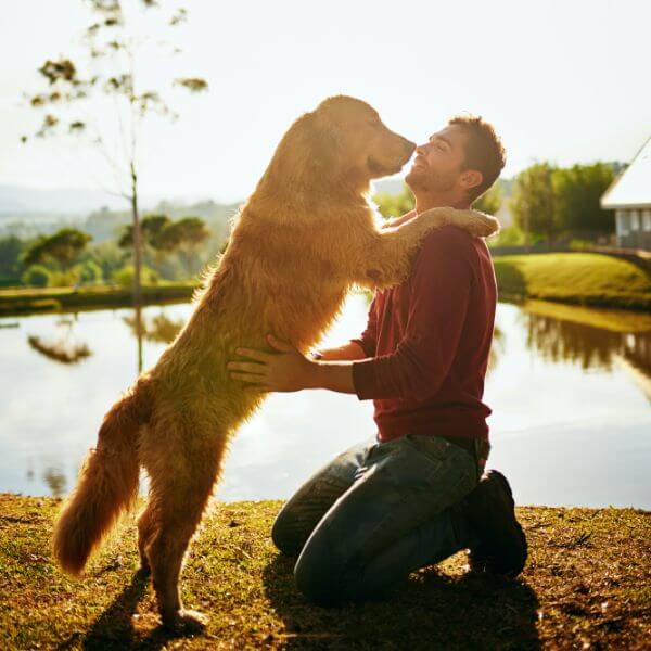 Dog and owner sharing a meaningful moment, reflecting trusted pet cremation Sydney families rely on at Everlight Pet Cremations Sydney.