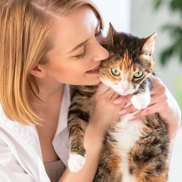 Everlight Pet Cremations Sydney provide individual pet cremation services in Sydney for dogs, cats, and companion animals