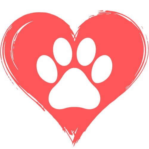 For the pets who left pawprints on your heart, Everlight Pet Cremations Sydney provides compassionate pet cremation services in Sydney.