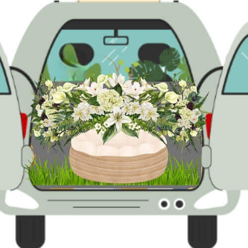 Gentle pet collection and respectful pet cremation services across Sydney, handled with care from the very first moment.